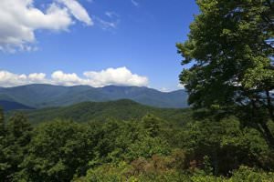 alcohol rehab Asheville NC